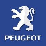 Peugeot рекламирует свой раллийный автомобиль при помощи детей 